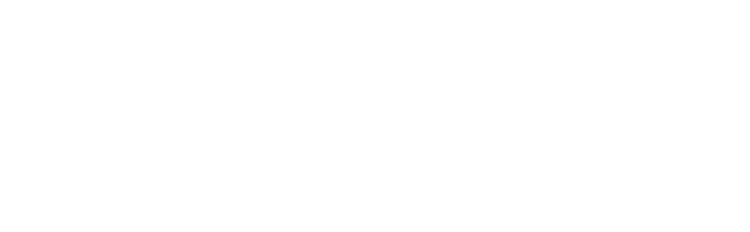 Spinaway logo